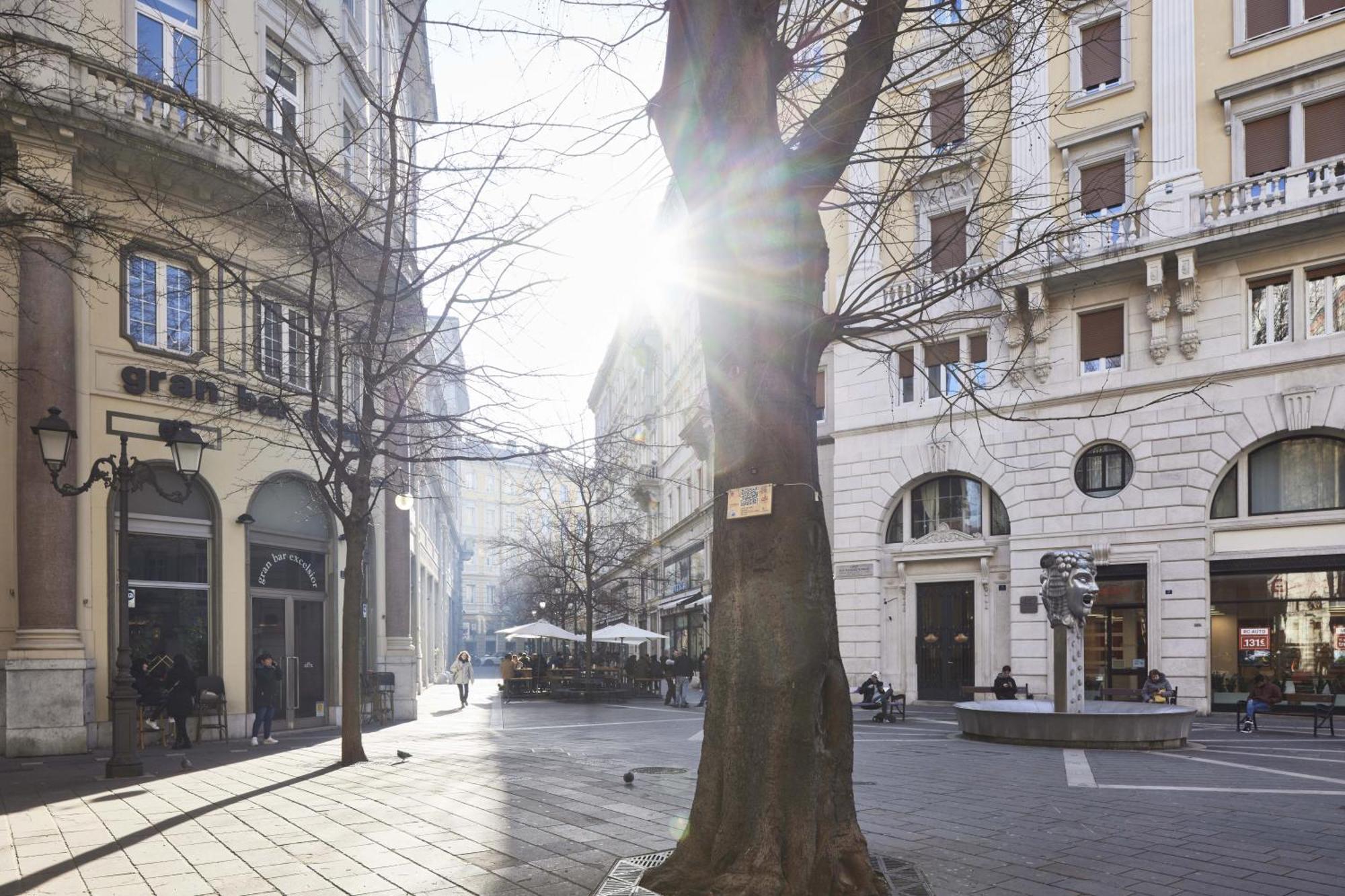 Triestinn - Viale Suite Bagian luar foto